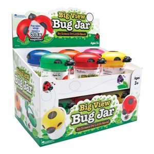 Big View Bug Jar